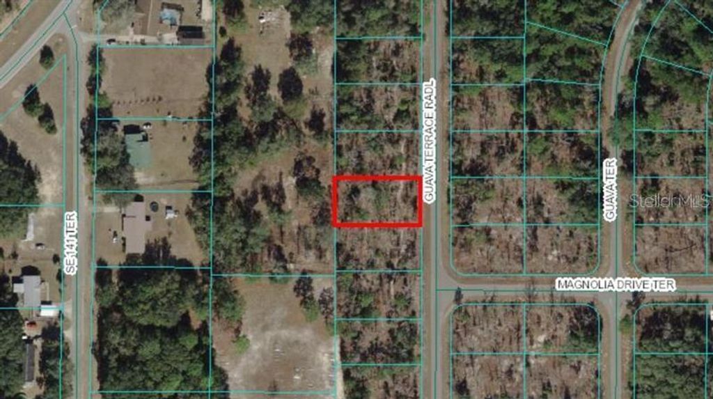 0 GUAVA TERRACE RADIAL, Ocklawaha, FL 32179