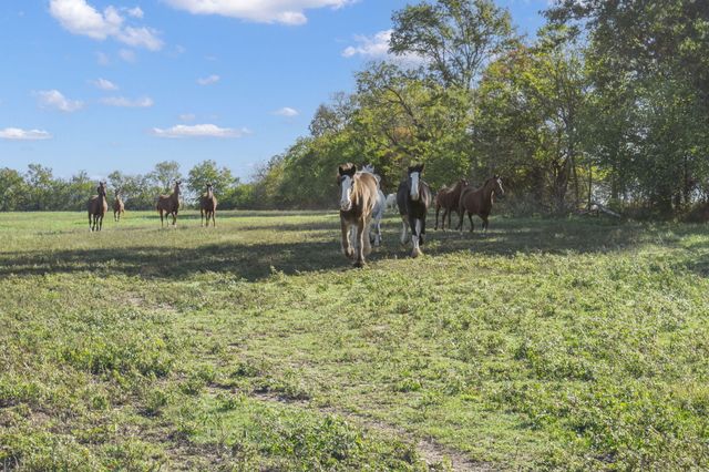 3259 W Farm Rd 60, Springfield, MO 65803