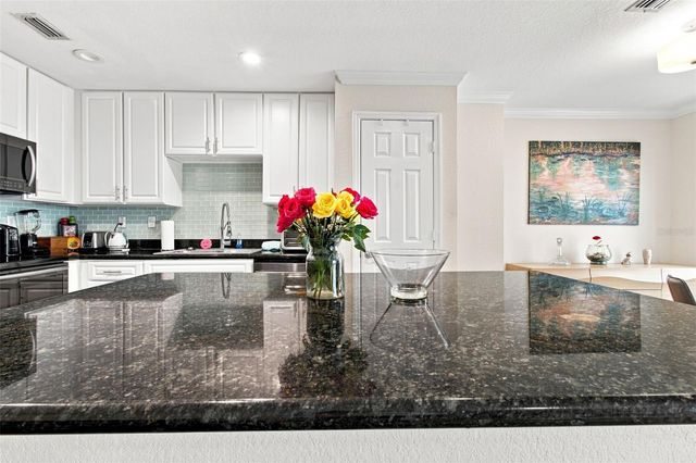 9801 MEADOW FIELD CIRCLE, Tampa, FL 33626