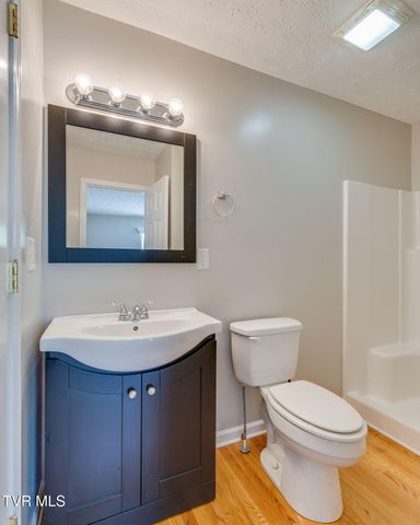 516 Bowmantown Road, Telford, TN 37690
