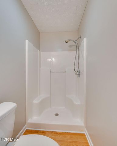 516 Bowmantown Road, Telford, TN 37690