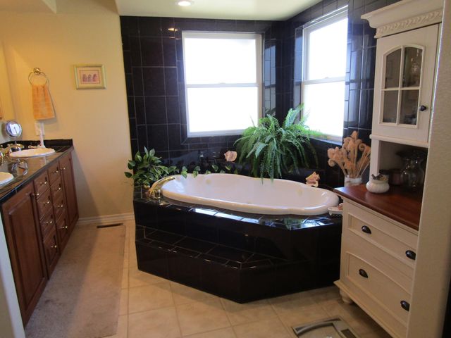 988 County Road 6160, Dora, MO 65637