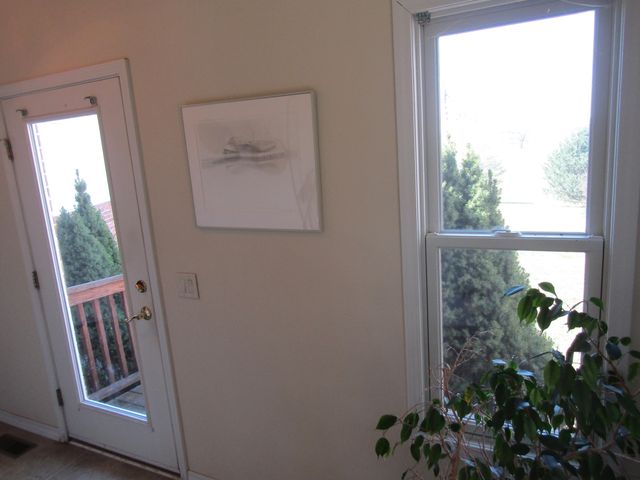 988 County Road 6160, Dora, MO 65637