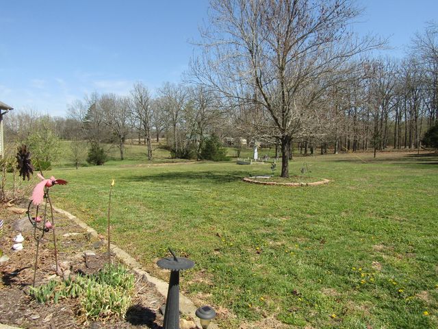 988 County Road 6160, Dora, MO 65637