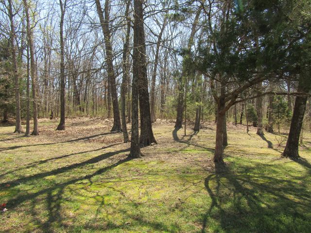 988 County Road 6160, Dora, MO 65637