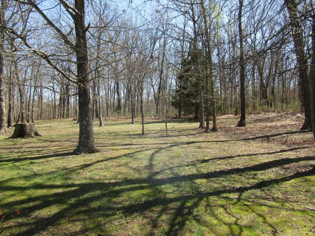 988 County Road 6160, Dora, MO 65637