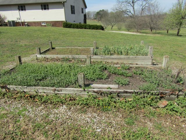 988 County Road 6160, Dora, MO 65637