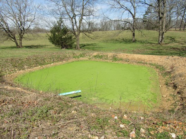 988 County Road 6160, Dora, MO 65637