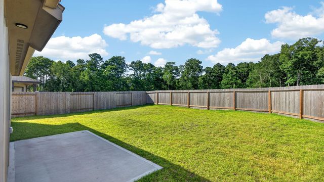 13579 Bay Springs Drive, Conroe, TX 77303
