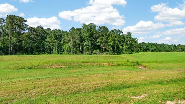 13579 Bay Springs Drive, Conroe, TX 77303