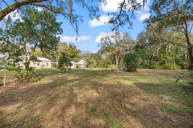 13015 ELM STREET, Odessa, FL 33556