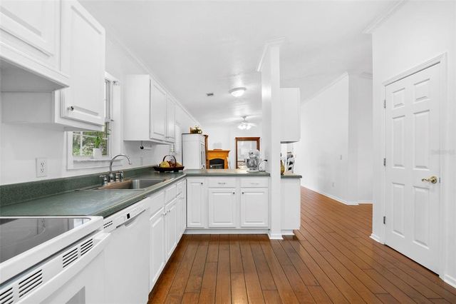 13015 ELM STREET, Odessa, FL 33556