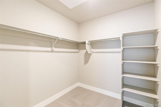20 Wilcox Street 519, Castle Rock, CO 80104