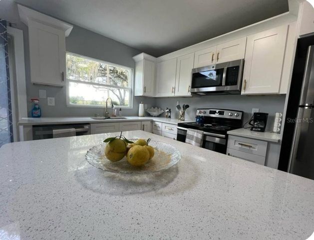 11223 COUNTY ROAD 223, Oxford, FL 34484