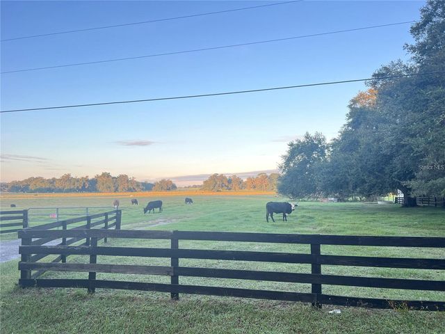 11223 COUNTY ROAD 223, Oxford, FL 34484