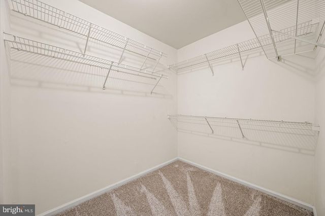 713 WHITETAIL CIR, King Of Prussia, PA 19406