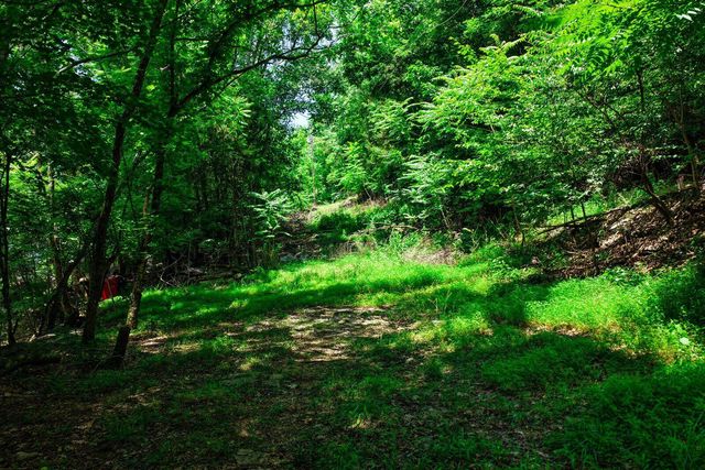 4825 Gann Store Road, Hixson, TN 37343
