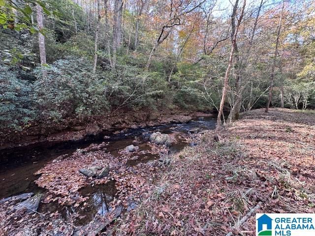 830 COUNTY ROAD 269, Wedowee, AL 36278