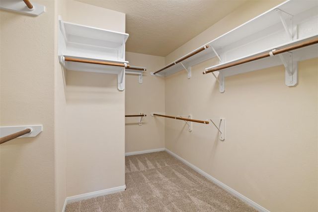 118 Bryce Branch Circle, Spring, TX 77382