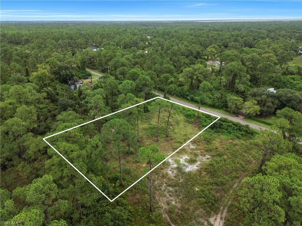 2005 Columbus AVE, ALVA, FL 33920 — photo 4