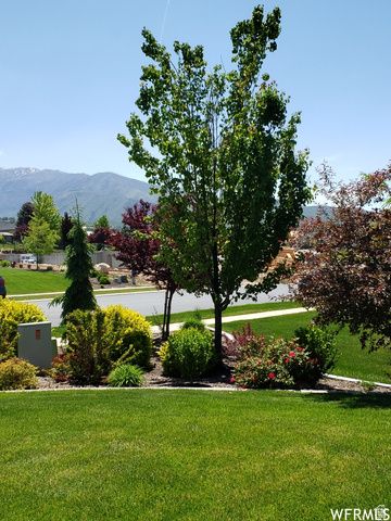 553 STRAWBERRY RD, Salem, UT 84653