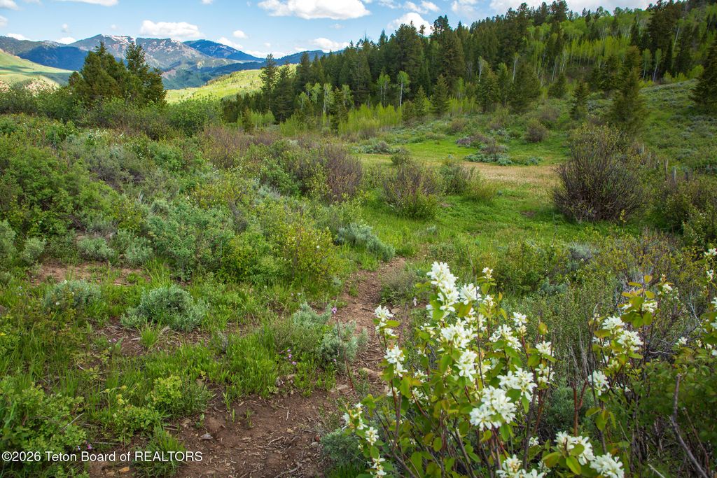 7675 US-89, Jackson, WY 83001 photo 11