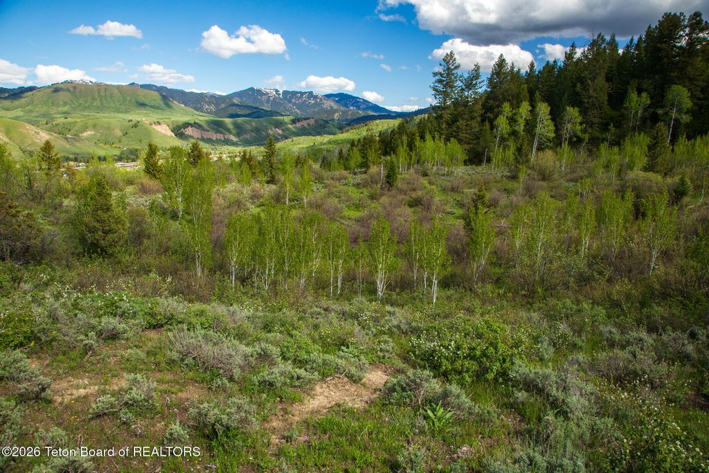 7675 US-89, Jackson, WY 83001 photo 16