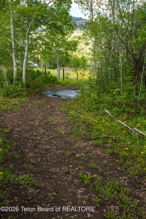 7675 US-89, Jackson, WY 83001 photo 20