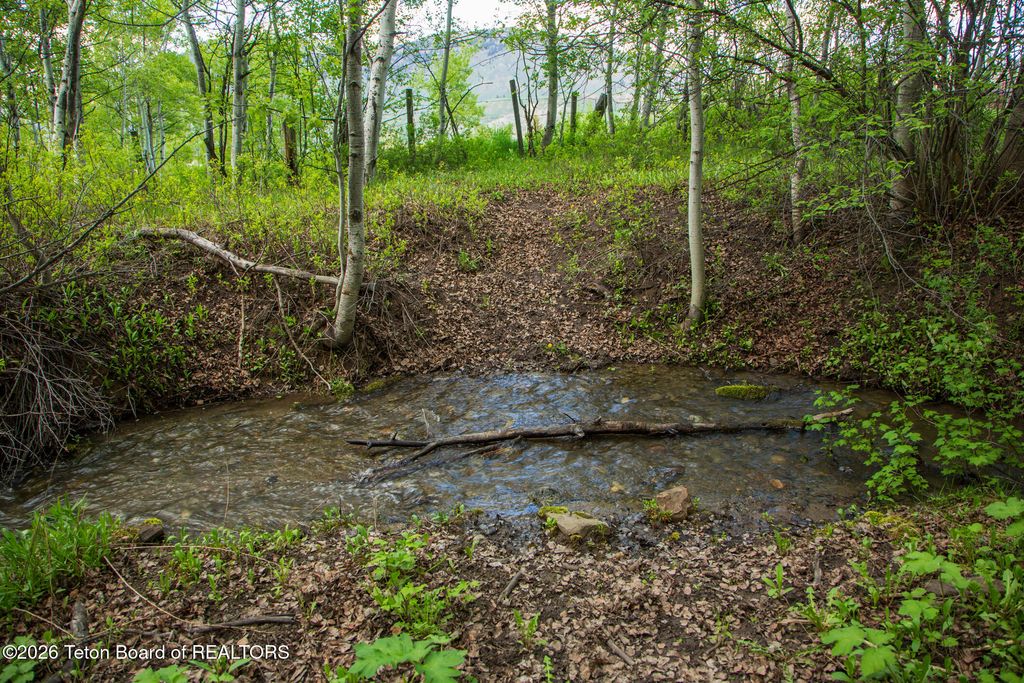 7675 US-89, Jackson, WY 83001 photo 21