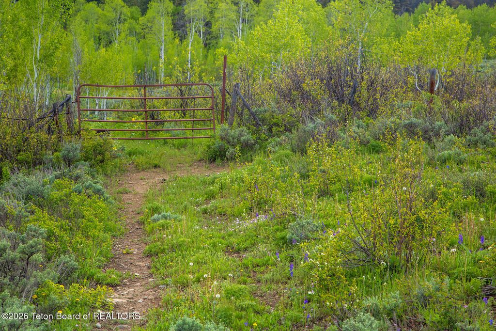 7675 US-89, Jackson, WY 83001 photo 26