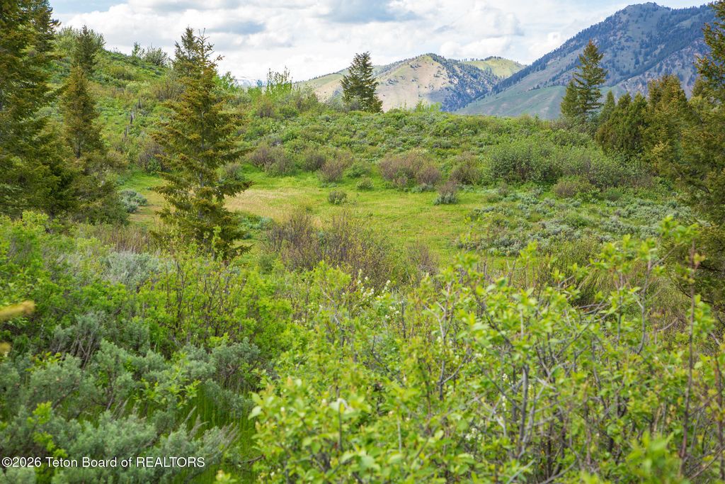 7675 US-89, Jackson, WY 83001 photo 27