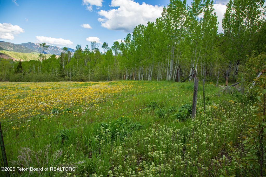7675 US-89, Jackson, WY 83001 photo 28
