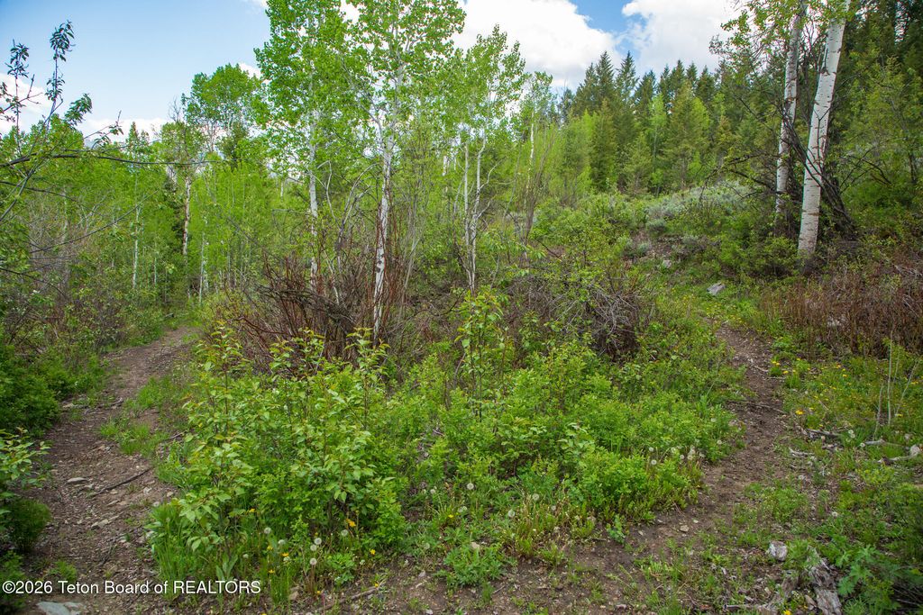 7675 US-89, Jackson, WY 83001 photo 29