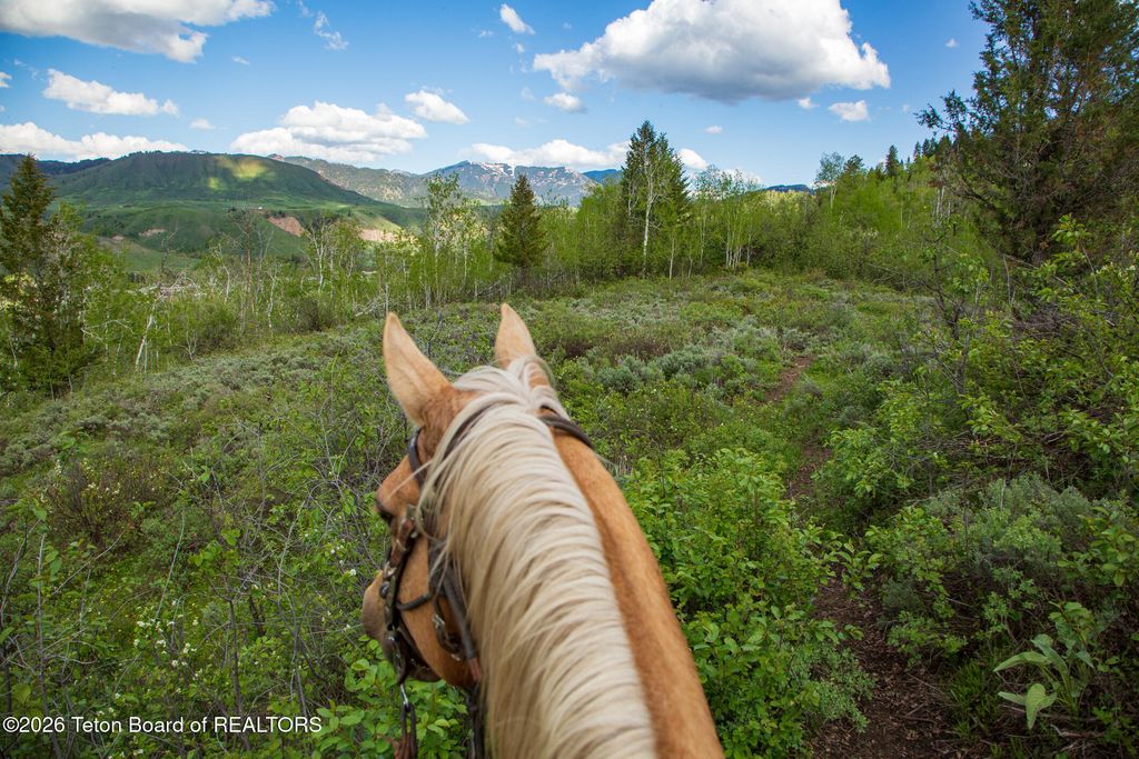 7675 US-89, Jackson, WY 83001 photo 31