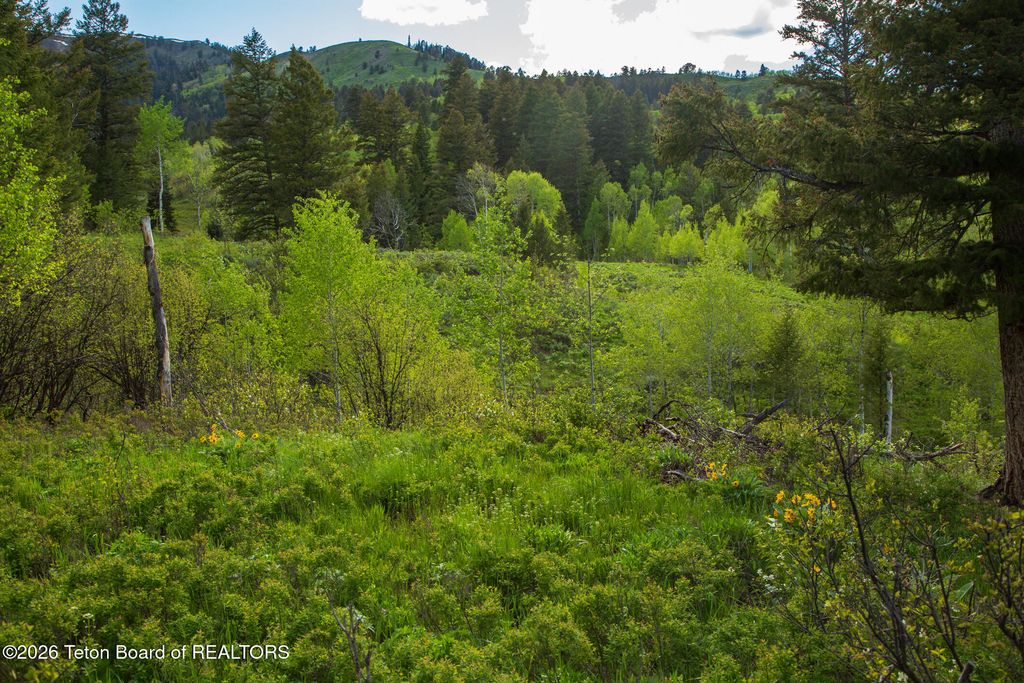 7675 US-89, Jackson, WY 83001 photo 35