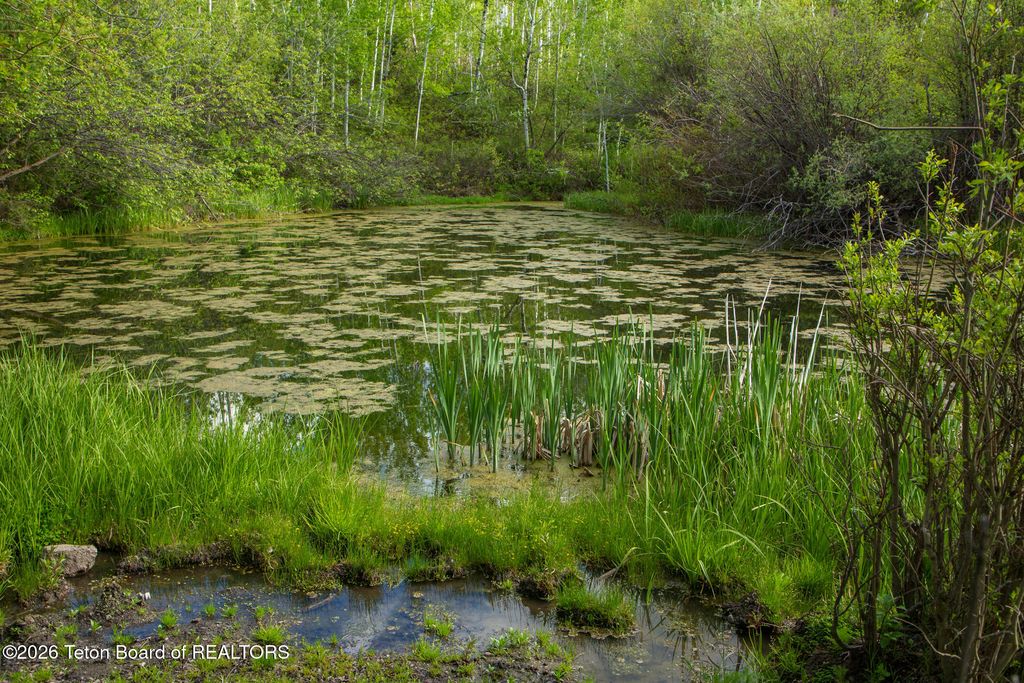 7675 US-89, Jackson, WY 83001 photo 36