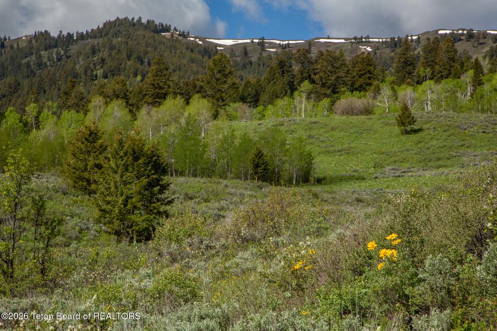 7675 US-89, Jackson, WY 83001 photo 43