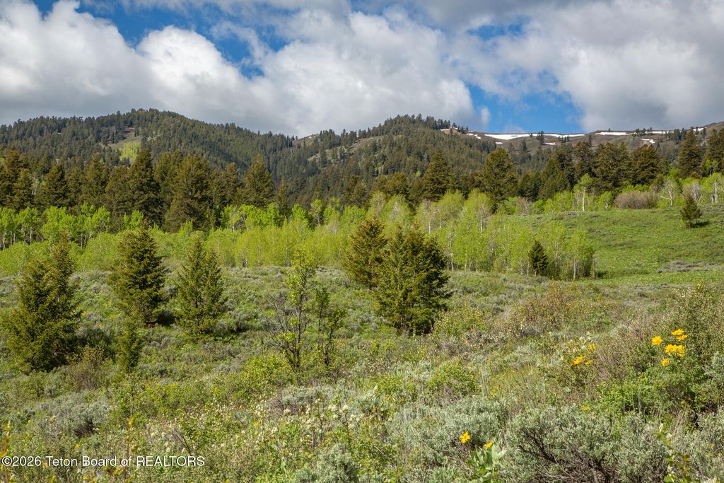 7675 US-89, Jackson, WY 83001 photo 44