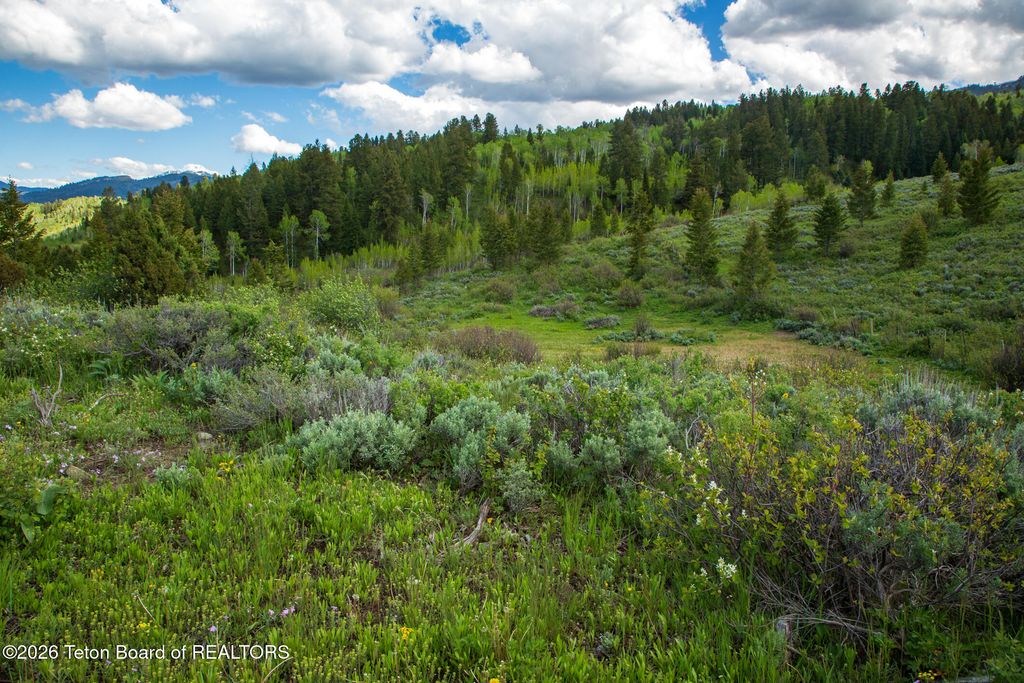 7675 US-89, Jackson, WY 83001 photo 8