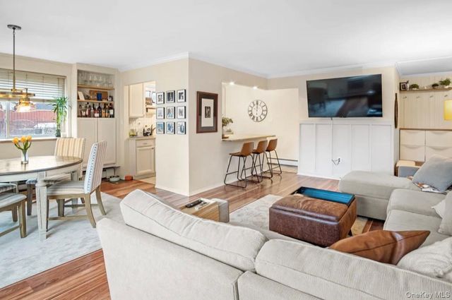 101 Clinton Avenue 1L, Mineola, NY 11501