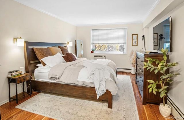 101 Clinton Avenue 1L, Mineola, NY 11501