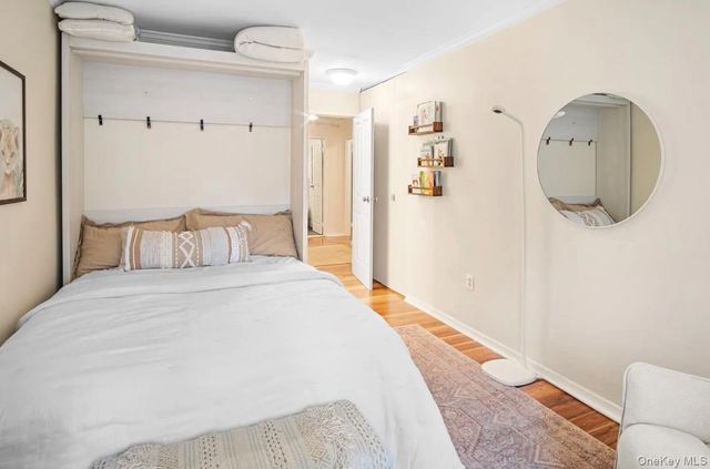 101 Clinton Avenue 1L, Mineola, NY 11501