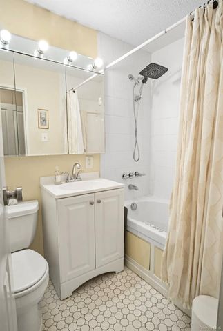 101 Clinton Avenue 1L, Mineola, NY 11501
