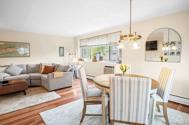 101 Clinton Avenue 1L, Mineola, NY 11501