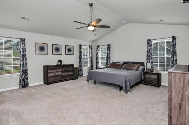 1304 Canopy Crest Lane, Chapin, SC 29036