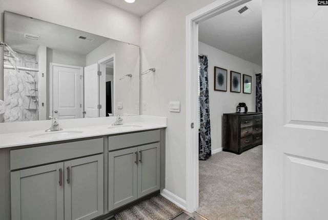 1304 Canopy Crest Lane, Chapin, SC 29036