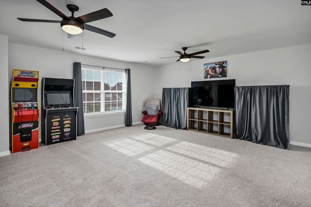 1304 Canopy Crest Lane, Chapin, SC 29036