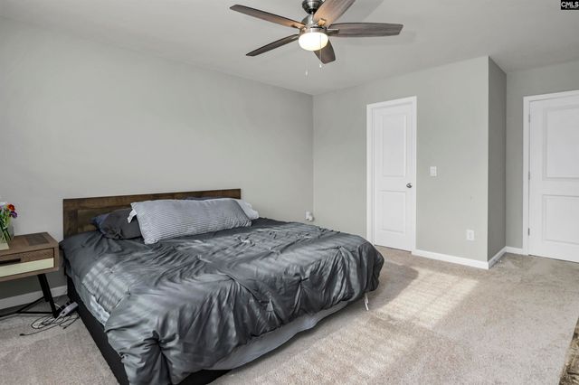1304 Canopy Crest Lane, Chapin, SC 29036