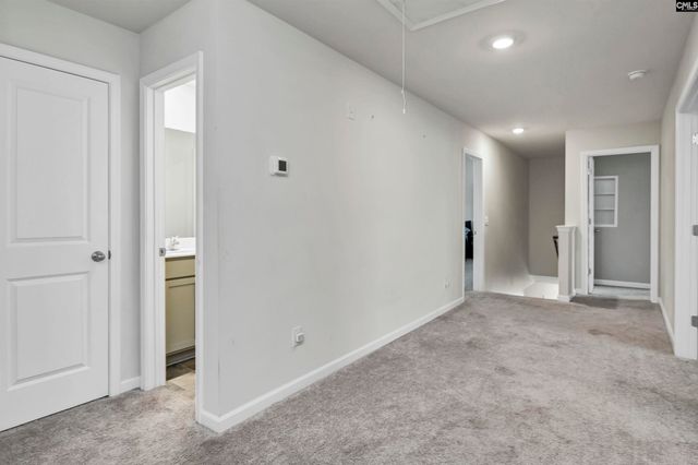 1304 Canopy Crest Lane, Chapin, SC 29036