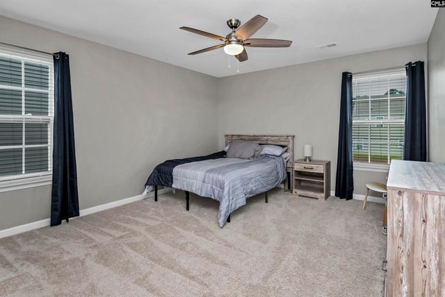 1304 Canopy Crest Lane, Chapin, SC 29036